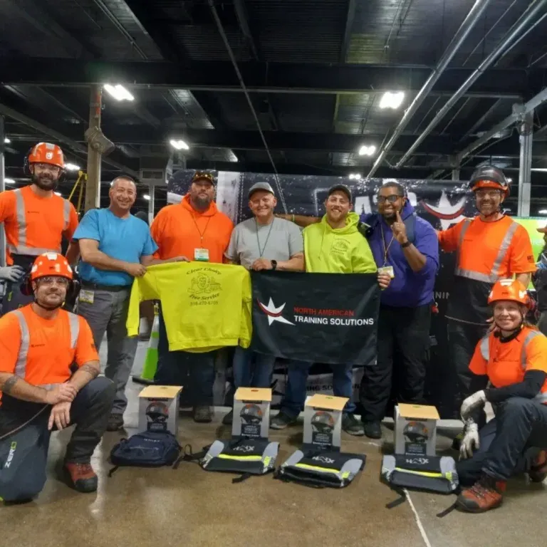 Tree and stump removal services team working in Albany NY