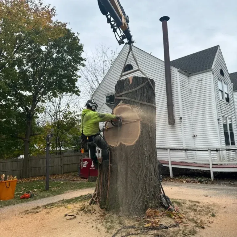 tree cutting crew using bucket truck in Albany NY