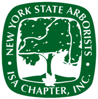 new york state arborist