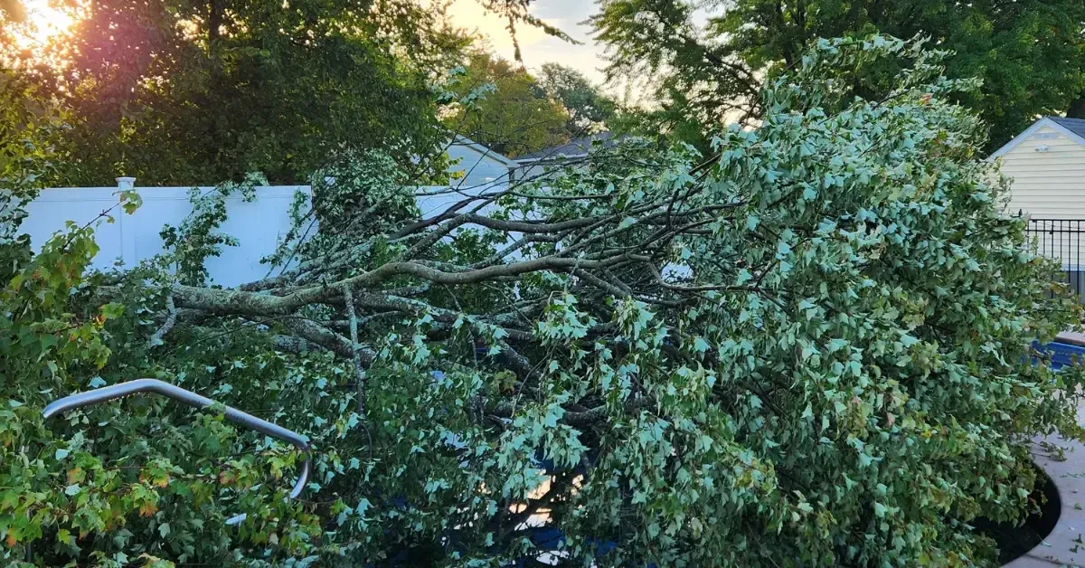 24_7 emergency tree service crew responding to storm damage in Rensselaer, NY