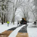 Winter pruning in Rensselaer County on a dormant oak tree