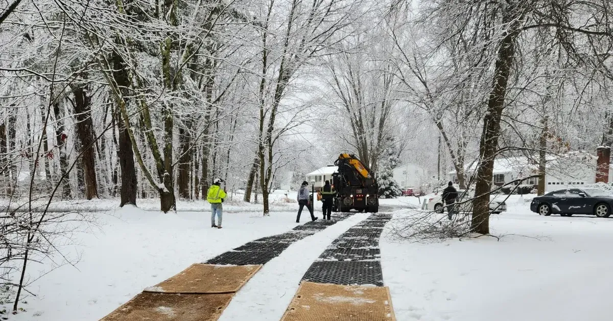 Winter pruning in Rensselaer County on a dormant oak tree